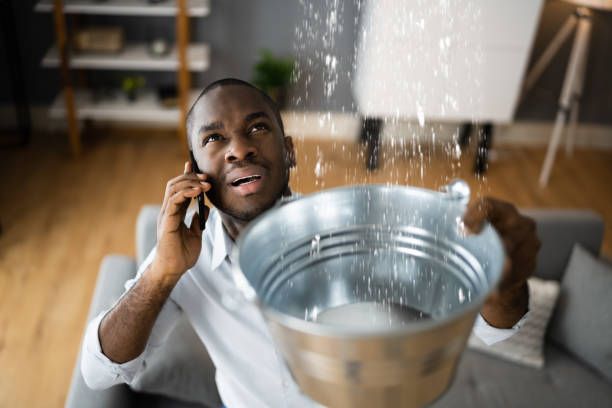 Best Water damage contractors near me  in Healdsburg, CA