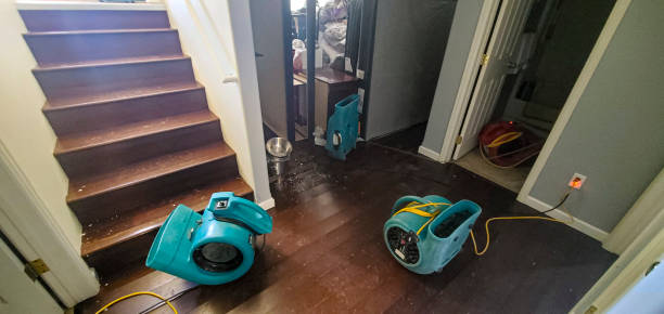 Best Flooded house restoration  in Healdsburg, CA
