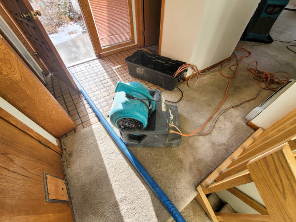 Best Flooded house restoration  in Healdsburg, CA