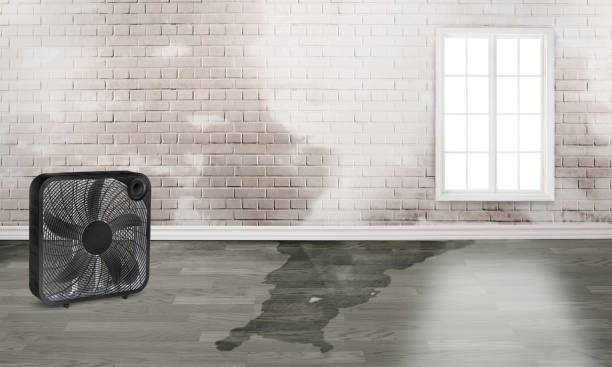Best Ceiling water damage repair  in Healdsburg, CA