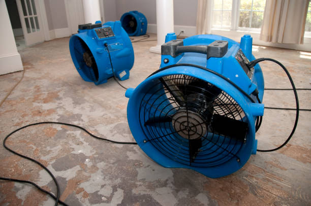 Healdsburg, CA Water damage restoration Pros