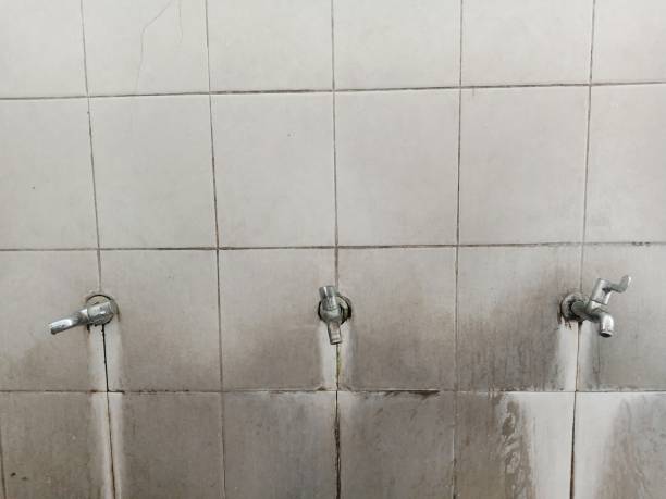 Best Ceiling water damage repair  in Healdsburg, CA