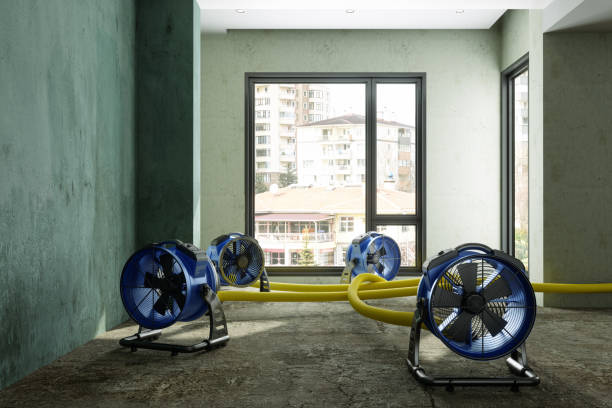 Best Mold removal after water damage  in Healdsburg, CA